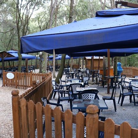 Garden Toscana Resort Σαν Βιντσέντσο Εξωτερικό φωτογραφία